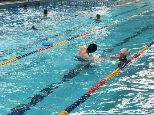 在线泳池福利,尽享在线泳池福利盛宴