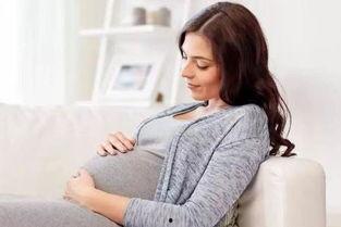 在线播放最孕妇福利